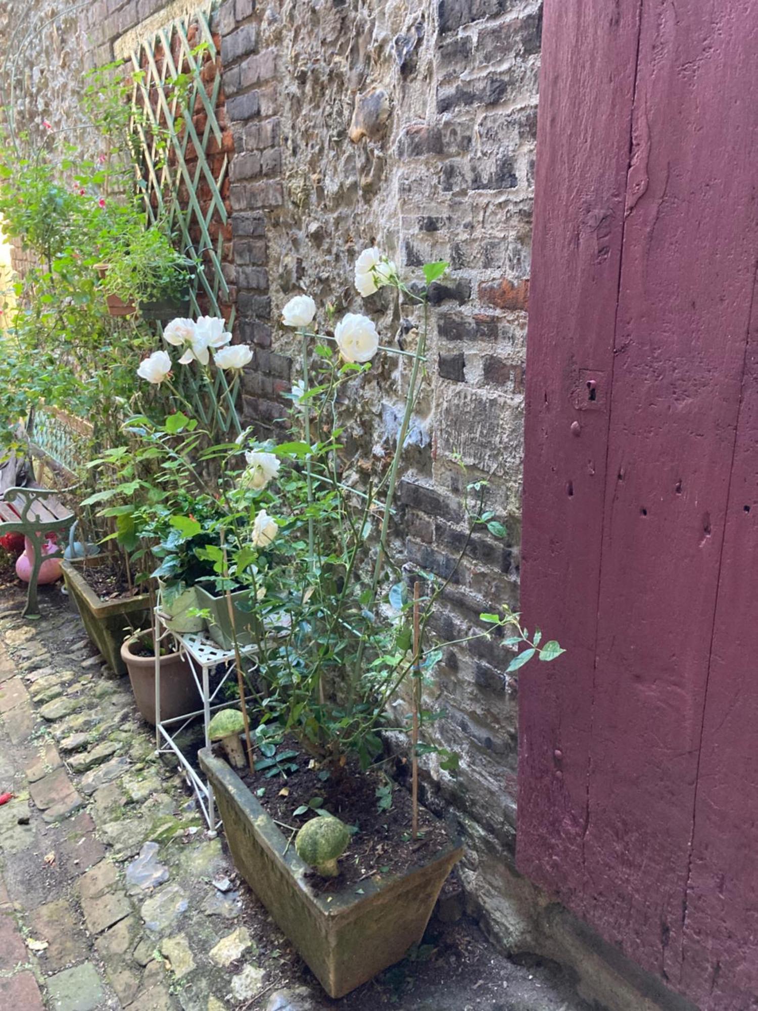La Maison Belle Maree Honfleur Extérieur photo